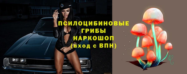 индика Бутурлиновка